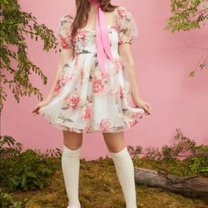 Dolls Kill Darling Rose Floral Babydoll Dress